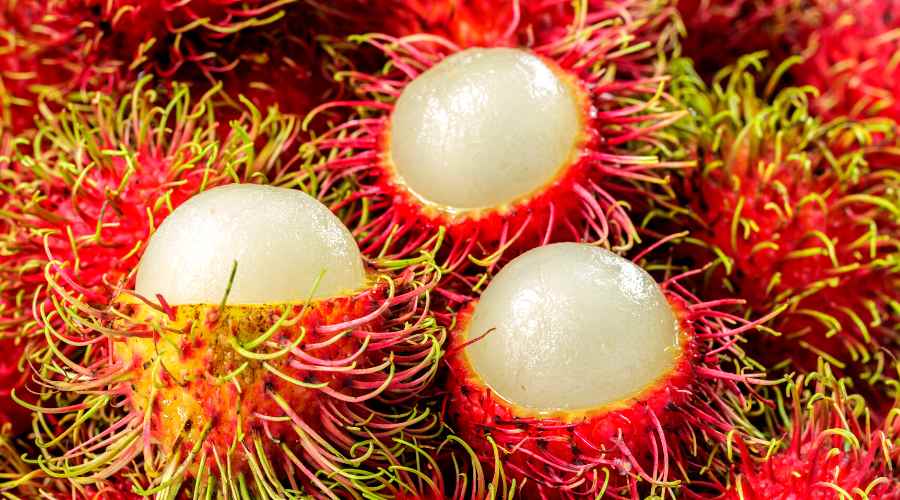 fruto abierto de rambutan donde se ve la pulpa