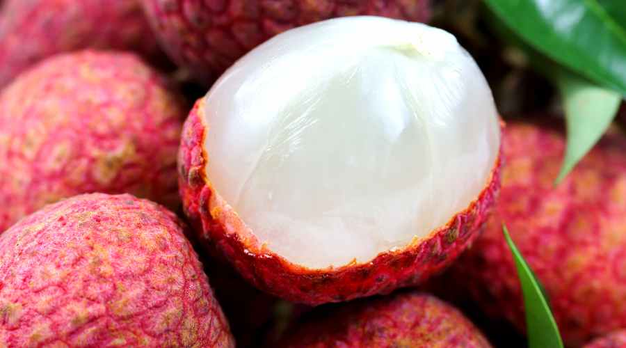 pulpar interior de fruta de litchi