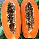 Como hacer que un árbol de papaya de frutos y semillas