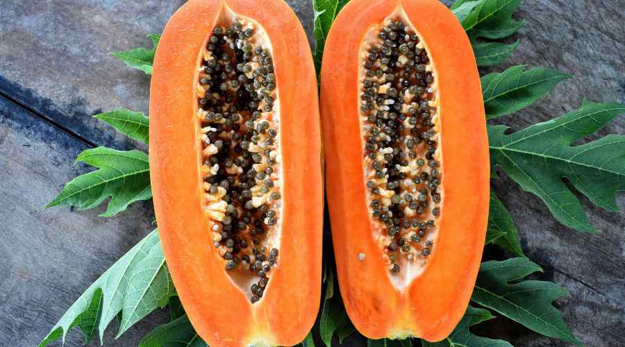Como hacer que un árbol de papaya de frutos y semillas