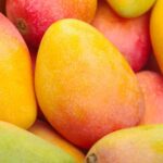 Los mejores tipos y variedades de mango para cultivar en tu jardín