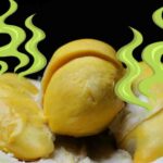 Por qué huele tan mal el durian