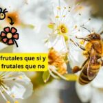 Qué frutales necesitan polinización cruzada y cueles no