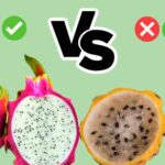 Qué pitahaya es mejor la amarilla o la roja