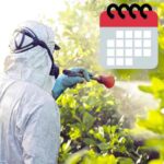 calendario de fumigacion de plantas frutales