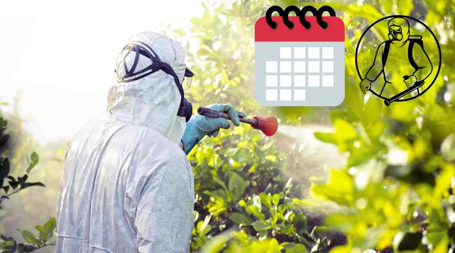calendario de fumigacion de plantas frutales